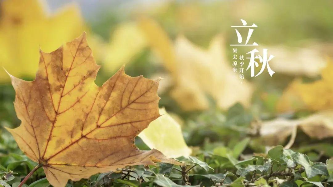 @南理学子|今日立秋，秋天的第一杯奶茶你喝了吗？