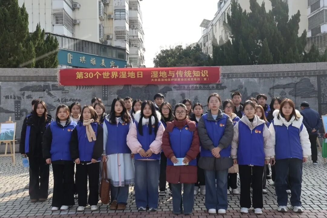 图片17.png